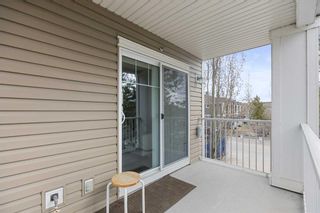 Photo 24: 201 304 Cranberry Park SE in Calgary: Cranston Apartment for sale : MLS®# A2122071