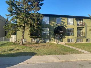 Photo 16: 203 4512 75 Street NW in Calgary: Bowness Apartment for sale : MLS®# A2087610