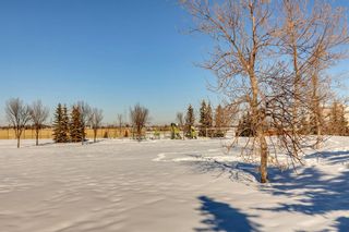 Photo 47: 168 Chaparral Common SE in Calgary: Chaparral Detached for sale : MLS®# A2028317