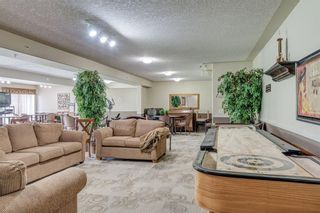 Photo 21: 208 5000 SOMERVALE Court SW in Calgary: Somerset Condo for sale : MLS®# C4140818