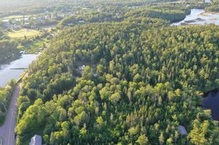 Photo 25: acreage Sonora Road in Sherbrooke: 303-Guysborough County Vacant Land for sale (Highland Region)  : MLS®# 202216267