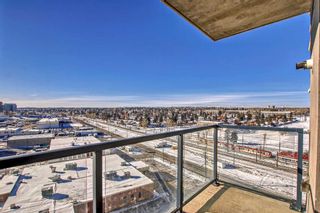 Photo 21: 1012 8880 Horton Road SW in Calgary: Haysboro Apartment for sale : MLS®# A2096304