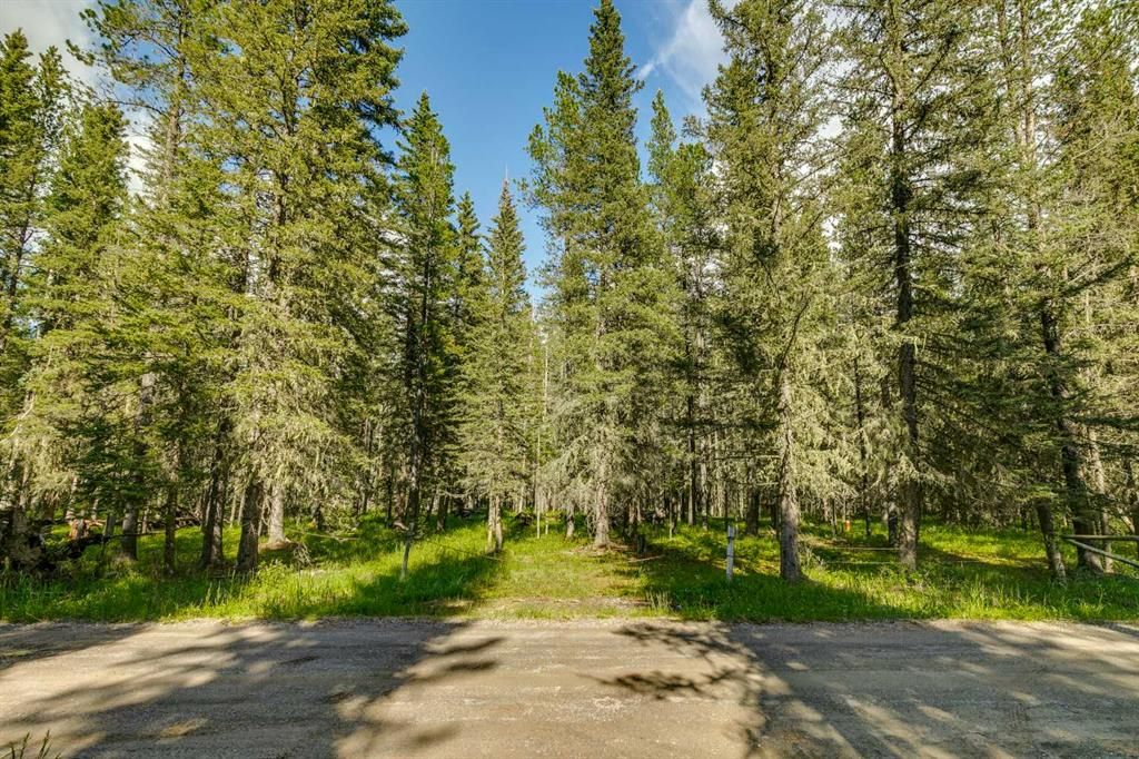 Main Photo: 49 Burney Road: Bragg Creek Residential Land for sale : MLS®# A2059109