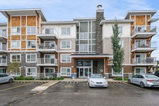 Photo 23: 3209 302 Skyview Ranch Drive NE in Calgary: Skyview Ranch Apartment for sale : MLS®# A1139658
