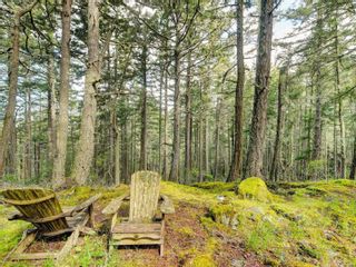 Photo 37: 706 Cains Way in Sooke: Sk East Sooke House for sale : MLS®# 910614