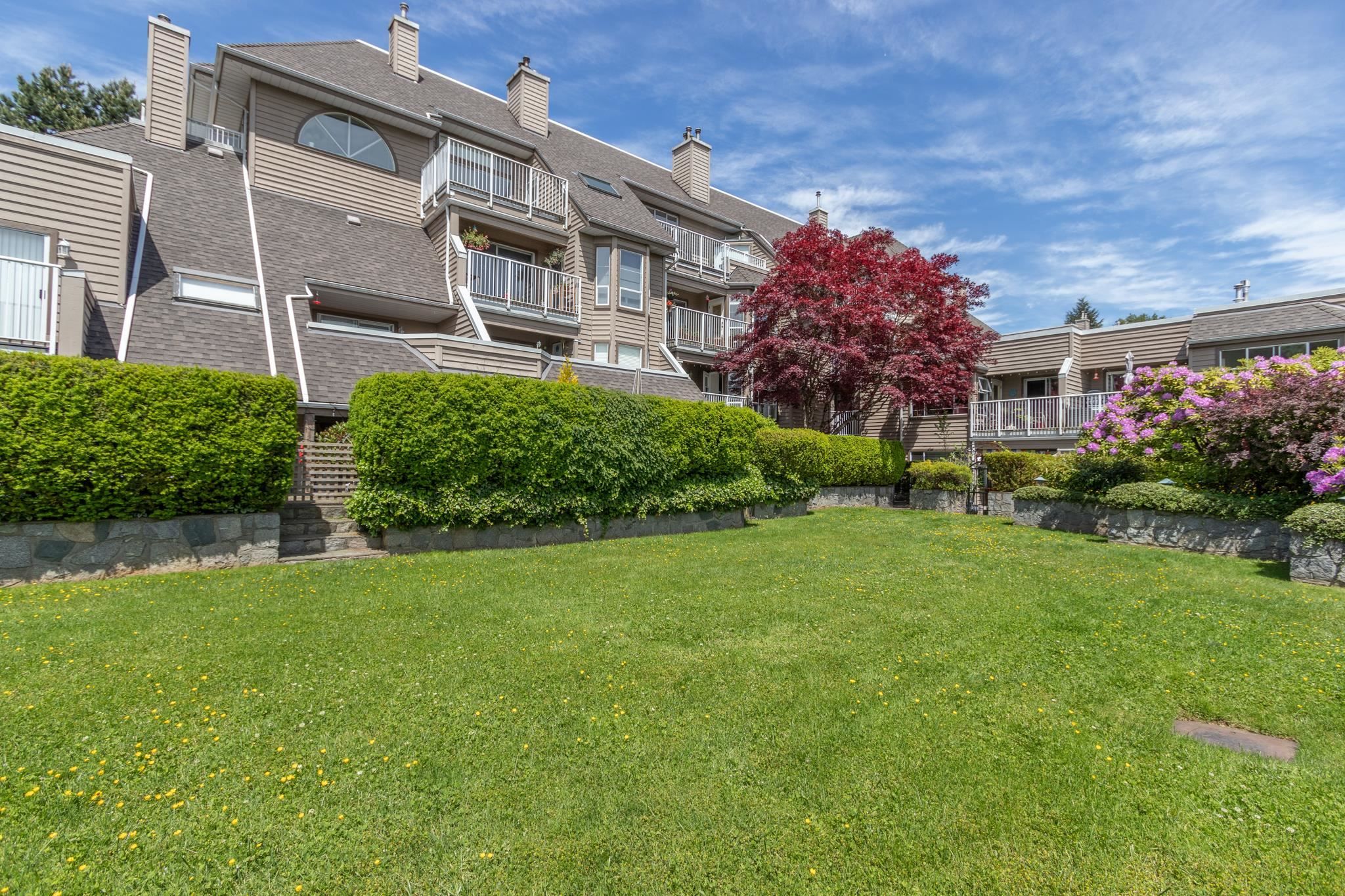 Main Photo: 509 1050 BOWRON Court in North Vancouver: Roche Point Condo for sale in "PARKWAY TERRACE" : MLS®# R2810076
