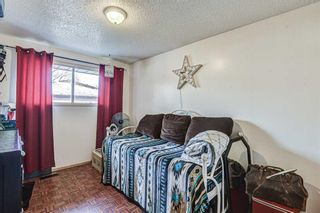 Photo 11: 505 42 Street SE in Calgary: Forest Heights Detached for sale : MLS®# A1165054