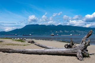 Photo 19: 408 2234 W 1ST Avenue in Vancouver: Kitsilano Condo for sale in "Ocean Villa" (Vancouver West)  : MLS®# R2751550