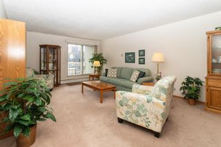 Photo 3: 406 525 56 Avenue SW in Calgary: Windsor Park Apartment for sale : MLS®# A2009497
