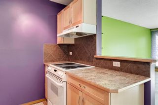 Photo 11: 202 1706 11 Avenue SW in Calgary: Sunalta Apartment for sale : MLS®# C4214439