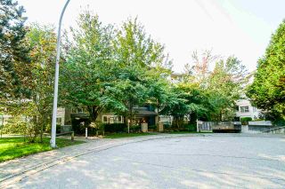 Photo 6: 109 8115 121A Street in Surrey: Queen Mary Park Surrey Condo for sale in "THE CROSSING" : MLS®# R2505328