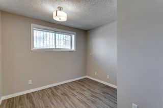Photo 30: 3812 49 Street NE in Calgary: Whitehorn Detached for sale : MLS®# A1054455