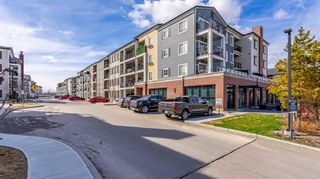 Photo 2: 4216 215 Legacy Boulevard SE in Calgary: Legacy Apartment for sale : MLS®# A2123109