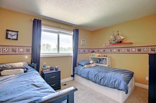 Photo 19: 393 Deerview Drive SE in Calgary: Deer Ridge Detached for sale : MLS®# A1234629