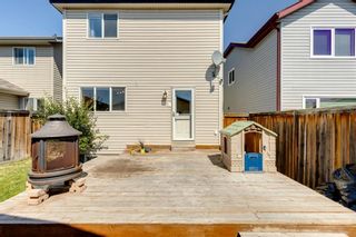Photo 39: 136 Covepark Crescent NE in Calgary: Coventry Hills Detached for sale : MLS®# A1250718
