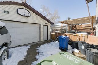 Photo 27: 180 Marquis Place SE: Airdrie Detached for sale : MLS®# A1207440