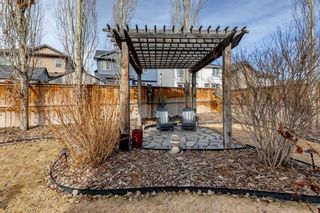 Photo 46: 39 Silverado Skies Manor SW in Calgary: Silverado Detached for sale : MLS®# A2122875