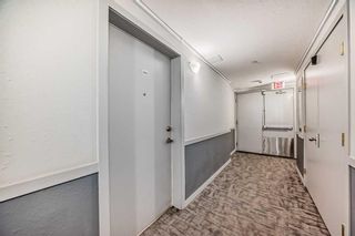 Photo 34: 209 1717 60 Street SE in Calgary: Red Carpet Apartment for sale : MLS®# A2133379