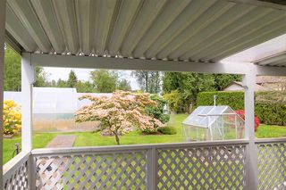 Photo 9: 24039 ROBERTSON Crescent in Langley: Salmon River House for sale : MLS®# R2348566