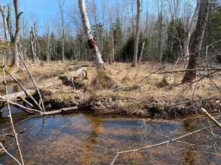 Photo 17: Lot 22 Lakeside Drive in Little Harbour: 108-Rural Pictou County Vacant Land for sale (Northern Region)  : MLS®# 202207910