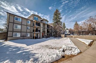Photo 21: 213 6400 Coach Hill Road SW in Calgary: Coach Hill Apartment for sale : MLS®# A2121082