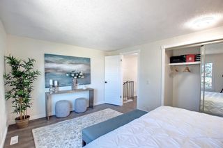 Photo 22: 332 Abinger Crescent NE in Calgary: Abbeydale Detached for sale : MLS®# A1258594