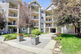 Photo 1: 4219 4975 130 Avenue SE in Calgary: McKenzie Towne Apartment for sale : MLS®# A1234393