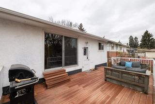 Photo 35: 332 Trafford Drive NW in Calgary: Thorncliffe Detached for sale : MLS®# A1169576