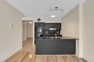 Photo 10: 614 8710 Horton Road SW in Calgary: Haysboro Apartment for sale : MLS®# A2121434