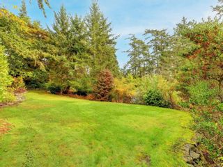 Photo 41: 3026 McAnally Rd in Saanich: SE Ten Mile Point House for sale (Saanich East)  : MLS®# 917736