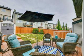 Photo 31: 621 Nolan Hill Boulevard NW in Calgary: Nolan Hill Detached for sale : MLS®# A2076619