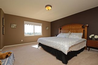 Photo 6: 23818 112 Ave in Maple Ridge: Cottonwood House for sale : MLS®# R2337140