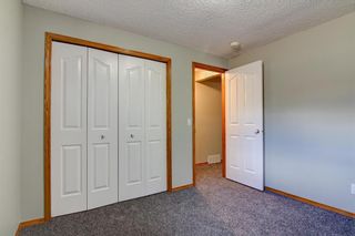 Photo 39: 6 Chaparral Link SE in Calgary: Chaparral Detached for sale : MLS®# A1222107