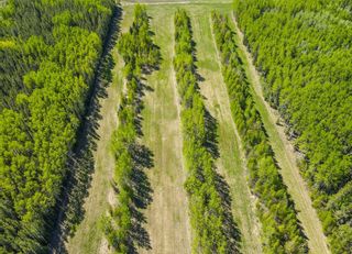 Photo 15: West of Cowboy Trail  #22 in Rural Wetaskiwin No. 10, County of: Rural Wetaskiwin County Residential Land for sale : MLS®# A1230343