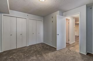 Photo 26: 417 1717 60 Street SE in Calgary: Red Carpet Apartment for sale : MLS®# A2053930