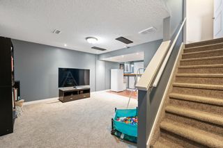Photo 19: 315 Elgin Place SE in Calgary: McKenzie Towne Semi Detached (Half Duplex) for sale : MLS®# A2036484