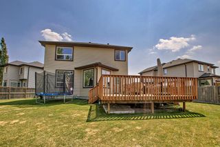 Photo 32: 204 Hawkmere Way: Chestermere Detached for sale : MLS®# A2053906
