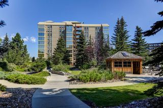 Photo 24: 206 4554 Valiant Drive NW in Calgary: Varsity Apartment for sale : MLS®# A1241630