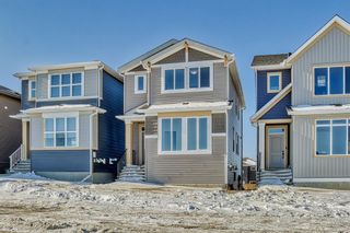 Photo 48: 279 Lucas Boulevard NW in Calgary: Livingston Detached for sale : MLS®# A2030284