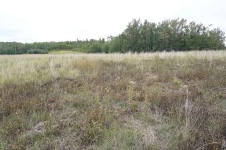 Photo 10: 17 53214 RR 13: Rural Parkland County Rural Land/Vacant Lot for sale : MLS®# E4270601