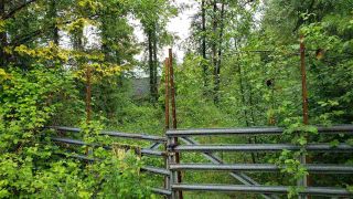 Photo 3: 24689 124 AVENUE in Maple Ridge: Websters Corners Land for sale : MLS®# R2586345