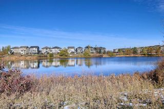 Photo 19: 21 Auburn Bay Common SE in Calgary: Auburn Bay Row/Townhouse for sale : MLS®# A2008550