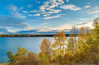 Photo 47: 6124 LEWIS Drive SW in Calgary: Lakeview Detached for sale : MLS®# C4293385