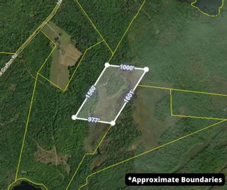 Photo 27: New Grafton Road in New Grafton: 406-Queens County Vacant Land for sale (South Shore)  : MLS®# 202406944