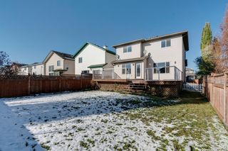 Photo 33: 125 Coventry Crescent NE in Calgary: Coventry Hills Detached for sale : MLS®# A1042180