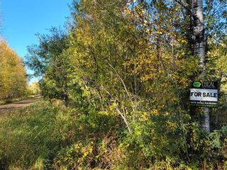 Photo 9: NW-4-67-19-4 , Boyle (Alpac): Rural Athabasca County Rural Land/Vacant Lot for sale : MLS®# E4264461