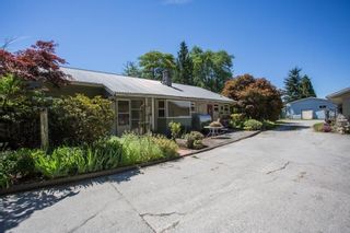 Photo 12: 1381 184 Street in Surrey: Hazelmere Agri-Business for sale (South Surrey White Rock)  : MLS®# C8048263