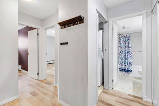 Photo 10: 103 819 4A Street NE in Calgary: Renfrew Apartment for sale : MLS®# A2127773