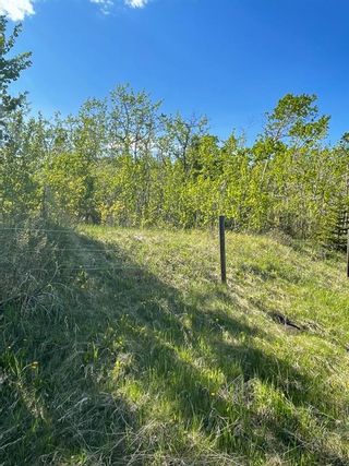 Photo 11: W: 5 R:3 T:26 S:3 SE Whitetail Road in Rural Rocky View County: Rural Rocky View MD Residential Land for sale : MLS®# A1118312