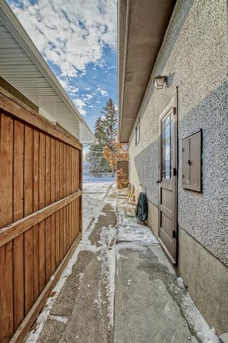 Photo 41: 3428 34 Avenue SW in Calgary: Rutland Park Detached for sale : MLS®# A2007438